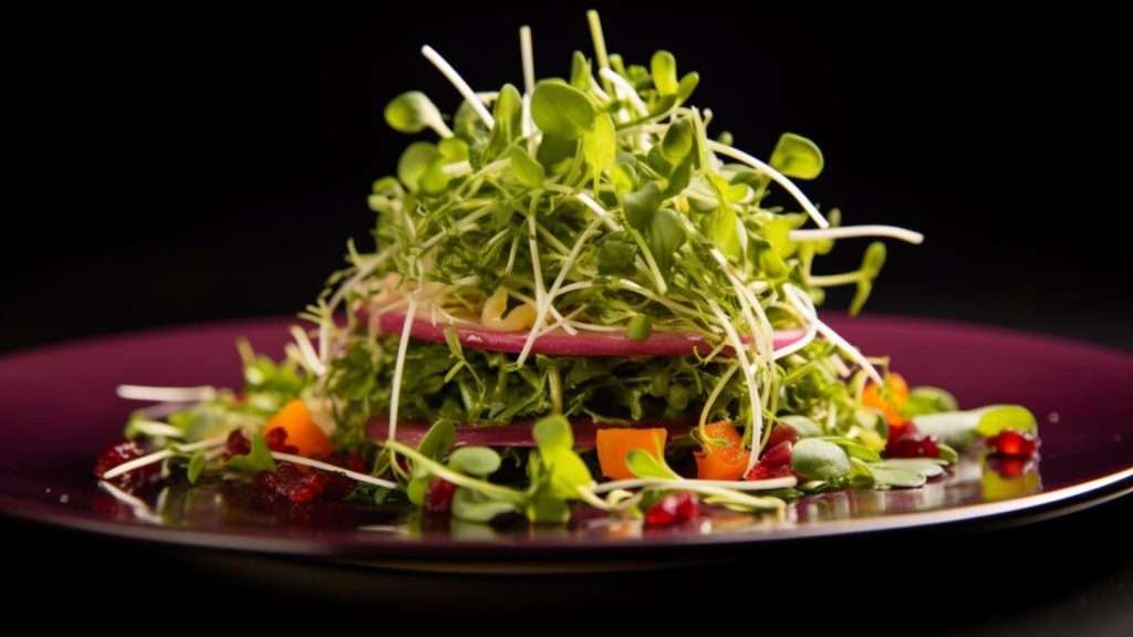 Learn some cool food recipes that leverage arugula microgreens
