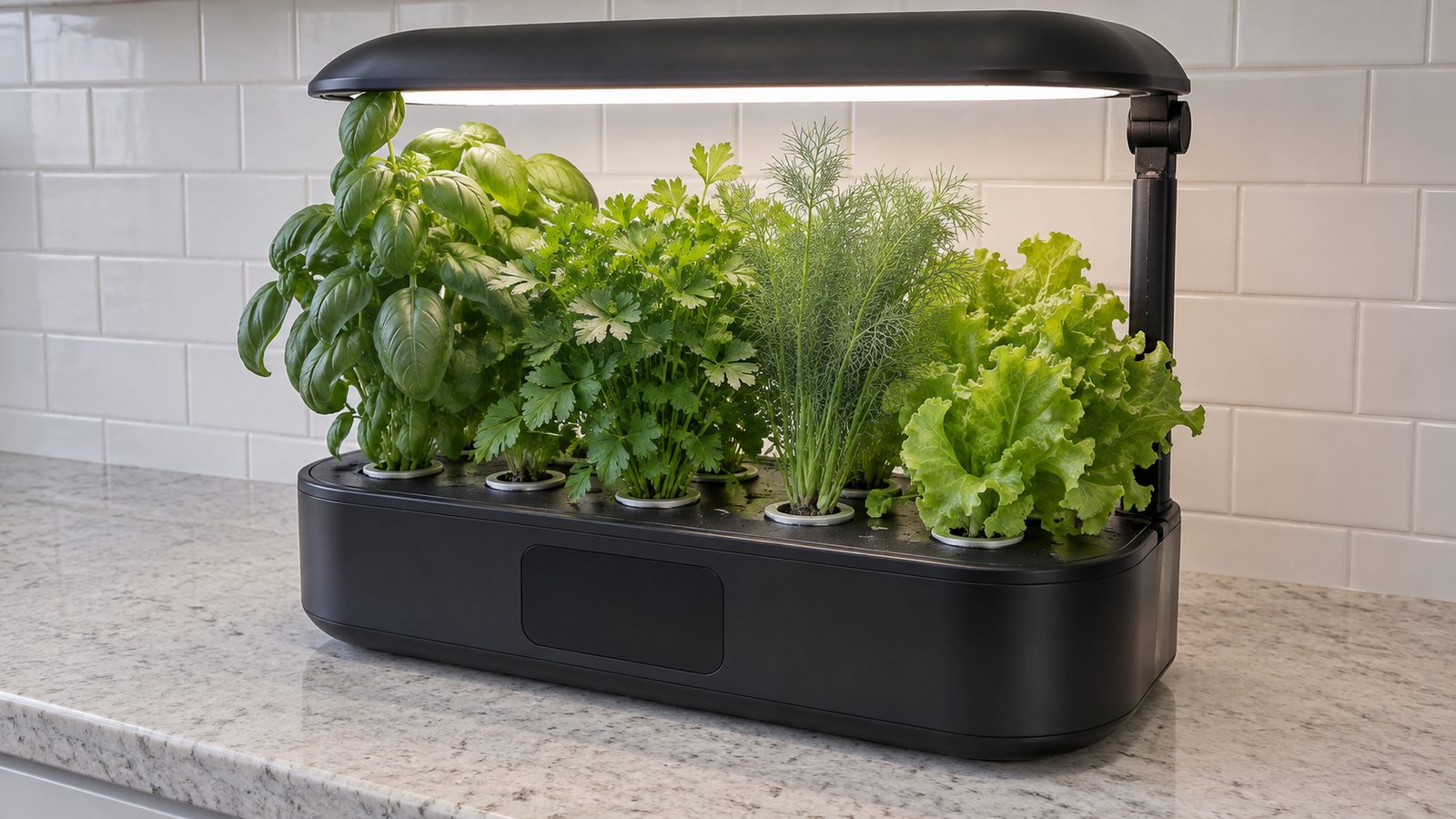 Wide countertop hydroponic garden with a broad arched lamp hood on a tall arm over bushy basil, flat leaf parsley, dill and green leaf lettuce, on a kitchen counter beside a tiled backsplash