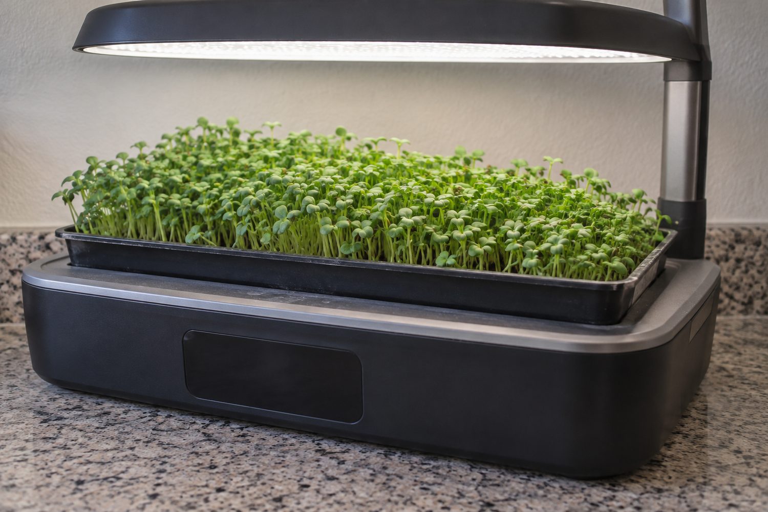 Flat shallow plastic seed tray of dense even green microgreens set on the deck of a wide countertop hydroponic garden under its lit arched lamp hood