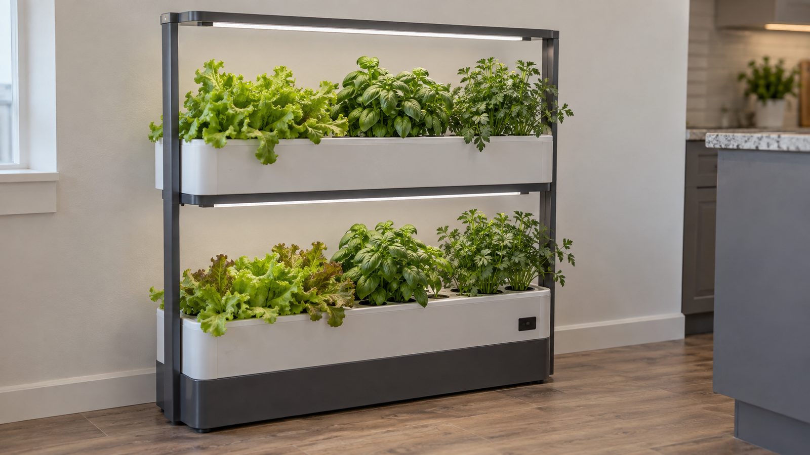 Tall floor standing two level hydroponic garden cabinet against a kitchen wall, each level a long deck of leafy lettuce, basil and parsley under a slim LED light bar