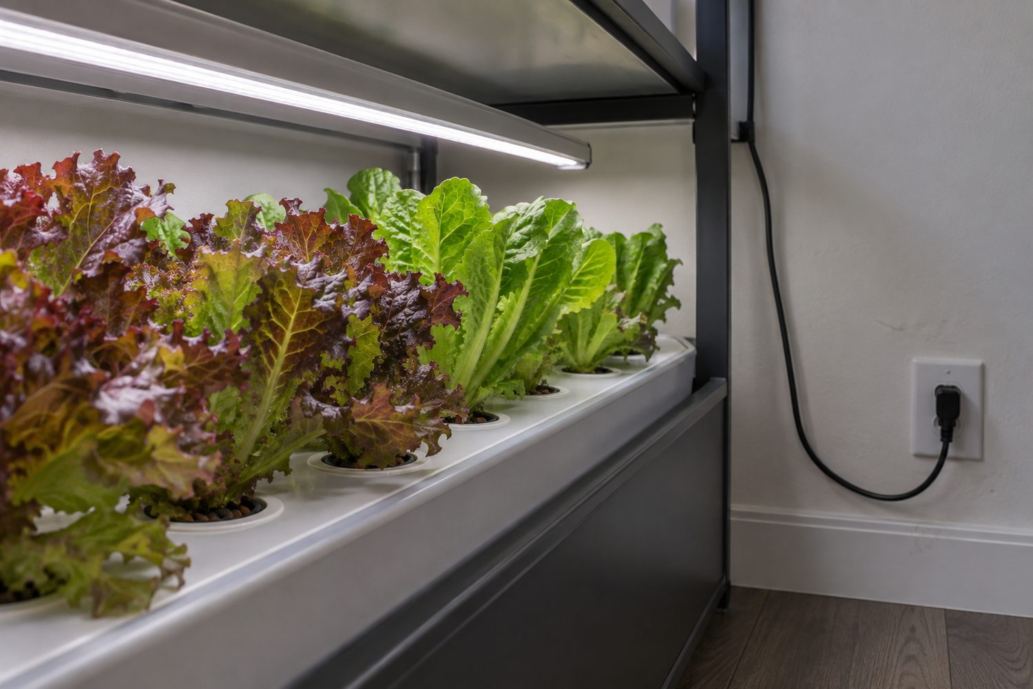 Lower level of a hydroponic garden cabinet with a lit LED light bar over red leaf lettuce and green romaine, a single power cord running down the back to a wall outlet