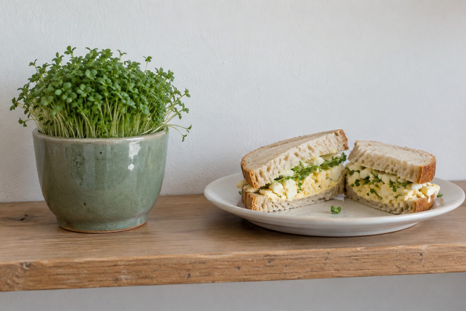 Small glazed ceramic pot densely filled with green cress microgreens on an open wooden kitchen shelf, beside a white plate holding an egg sandwich garnished with cress sprigs