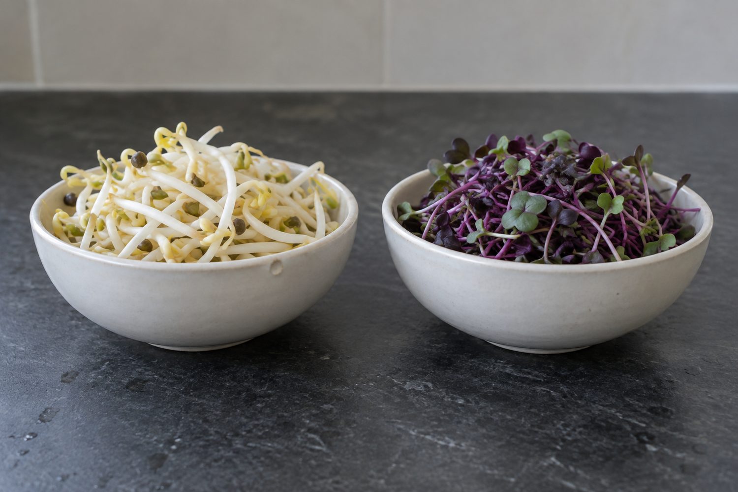 Two matching white bowls on a counter, one filled with pale mung bean shoots and the other with purple and green red cabbage microgreens