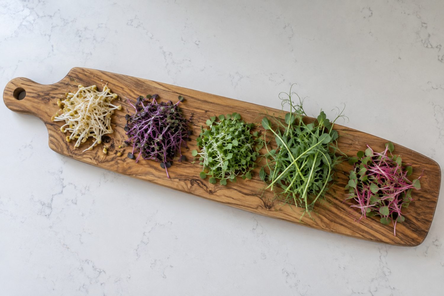 Long wooden board holding five separate small heaps of microgreens in a row: pale mung bean shoots, purple red cabbage, green broccoli, pea shoots and pink stemmed radish