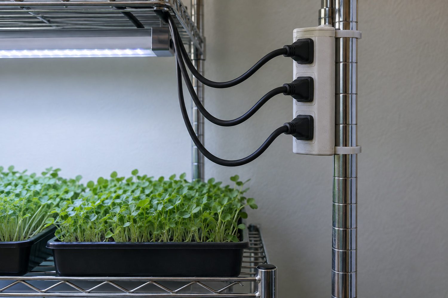 Plain grounded power strip fastened to the upright of a wire rack above shelf height, three cords plugged in, each dipping in a low loop below the strip before rising to its plug, trays on the shelf below