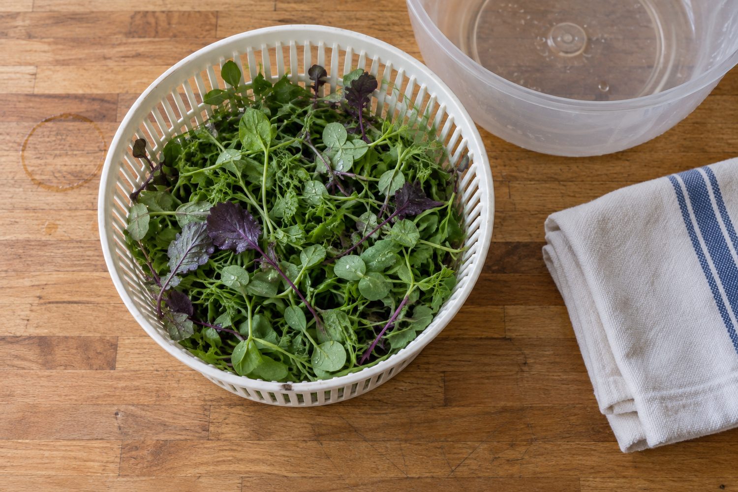 Plain salad spinner basket holding freshly rinsed mixed microgreens with a few water droplets beside a neatly folded clean kitchen towel on a counter