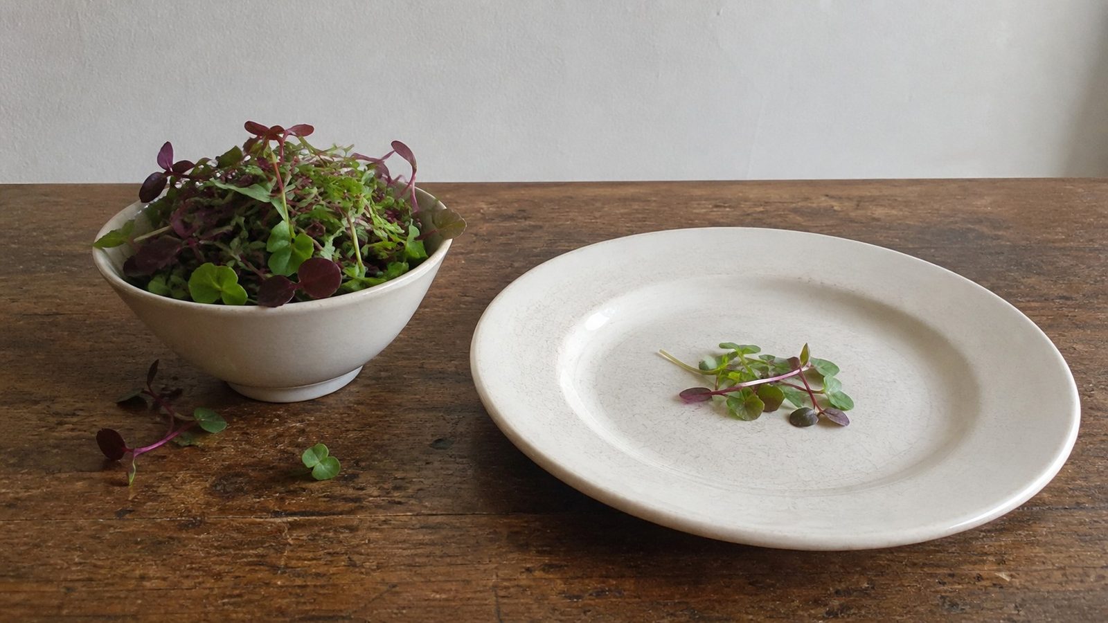 A small kitchen bowl holding a loose two-cup heap of mixed red and green microgreens beside a dinner plate carrying a sparse pinch of the same greens as a garnish, the two amounts side by side for comparison, photographed at table height in flat daylight