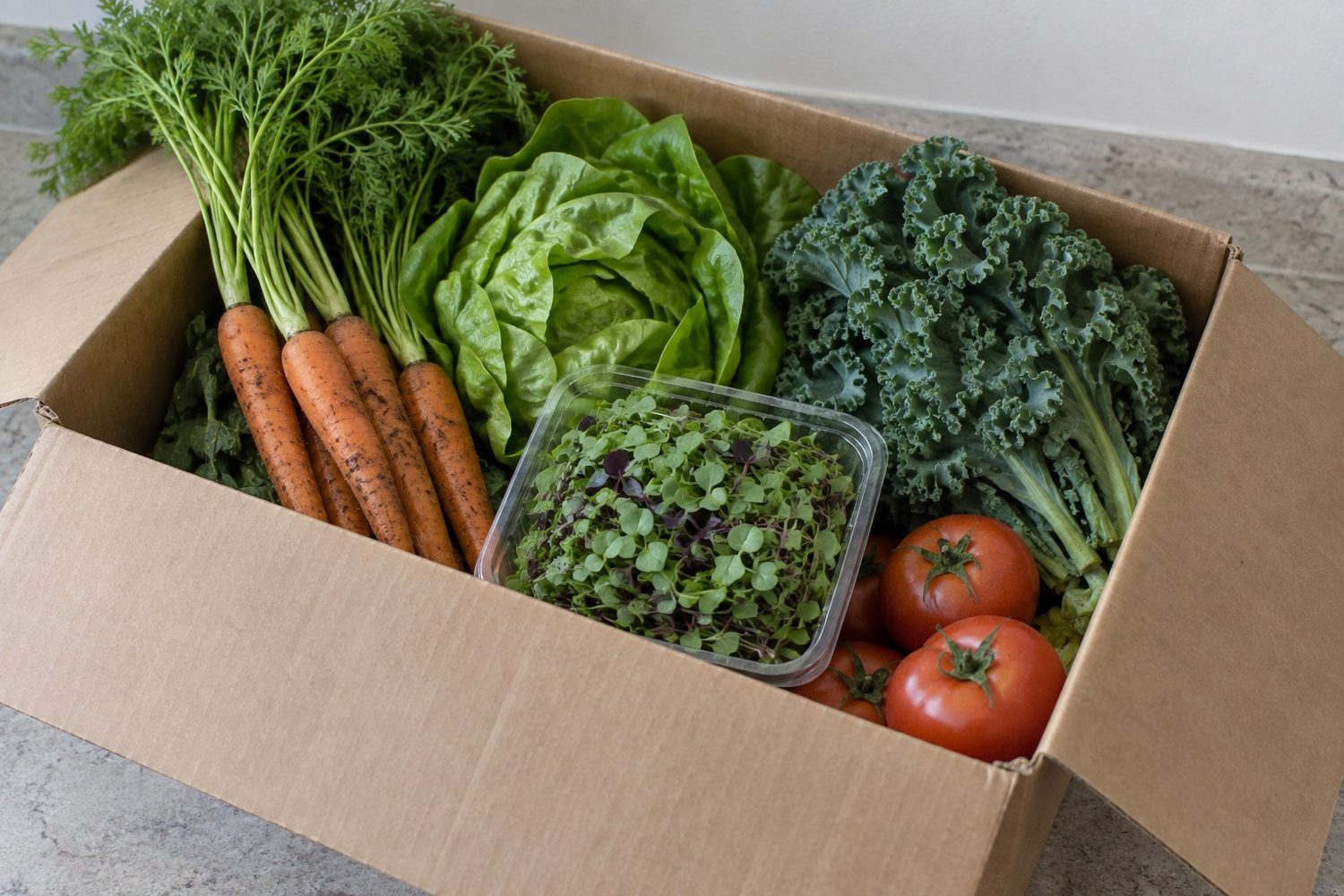 Open unprinted waxed produce box holding carrots, lettuce, tomatoes and kale with a clear container of microgreens tucked among them