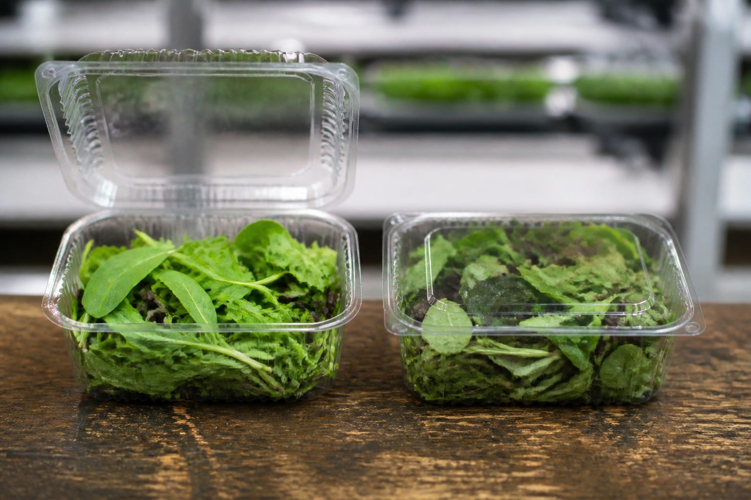Two identical plain clear salad clamshells side by side on a worn wooden counter, one with its lid raised, the leaves inside one visibly fresher and greener than the other, photographed level with the counter in flat daylight with no branding or packaging text anywhere in frame