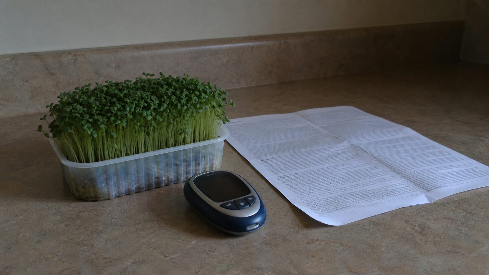 A kitchen worktop in flat daylight holding a small tray of fresh green broccoli microgreens beside a compact handheld glucose meter with its screen dark and unlit, and a printed page lying at a shallow angle with its type too fine to read, photographed level with the surface