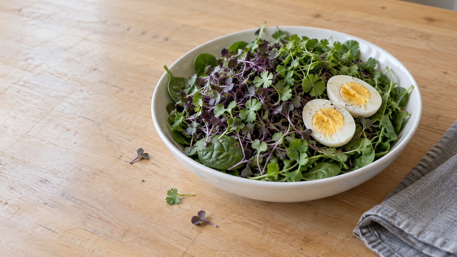 Salad bowl heaped with purple red cabbage microgreens and green cilantro microgreens over baby spinach leaves with a halved hard boiled egg on top, on a light wooden kitchen table