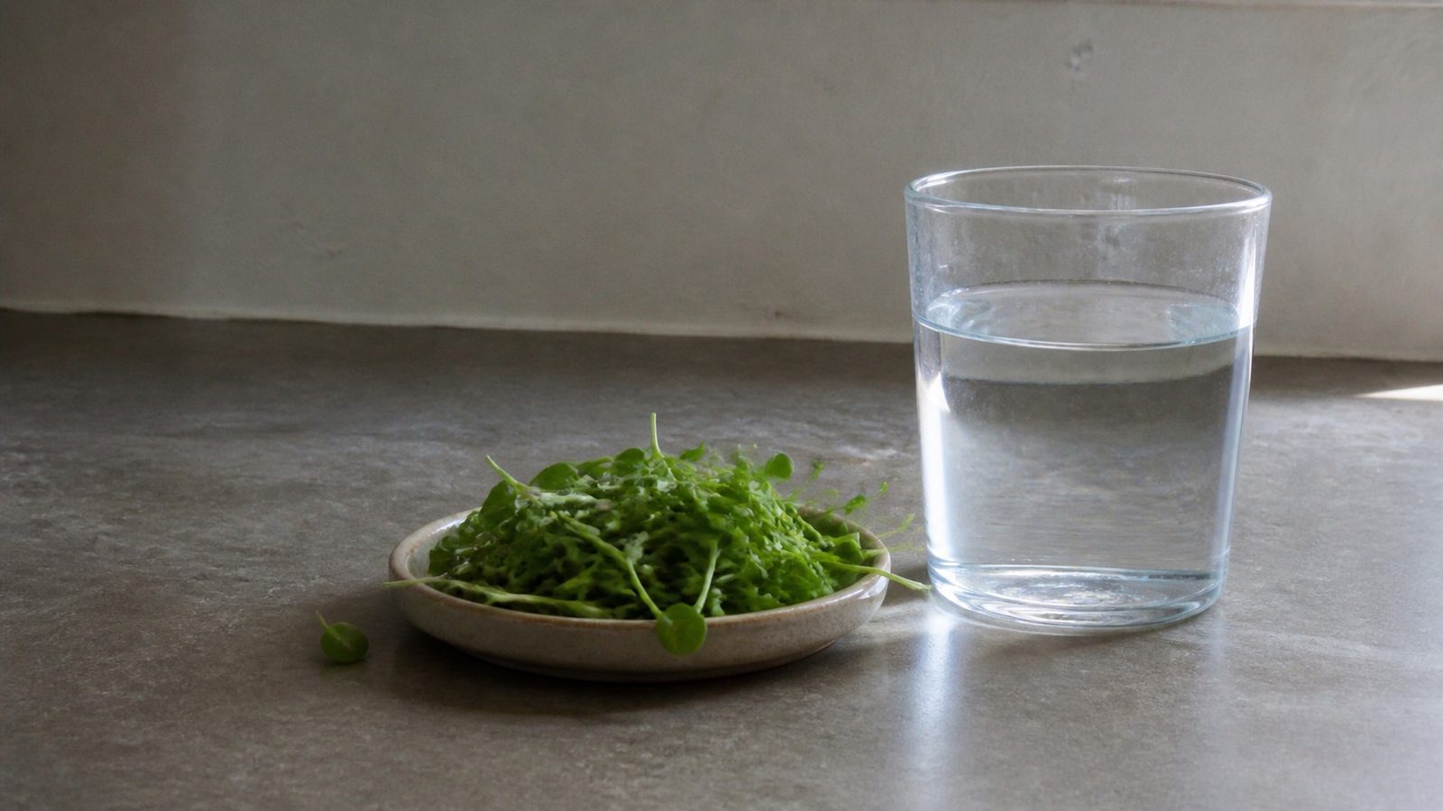 A small dish of cut green microgreens on a kitchen counter beside a plain drinking glass, photographed level with the counter in flat daylight