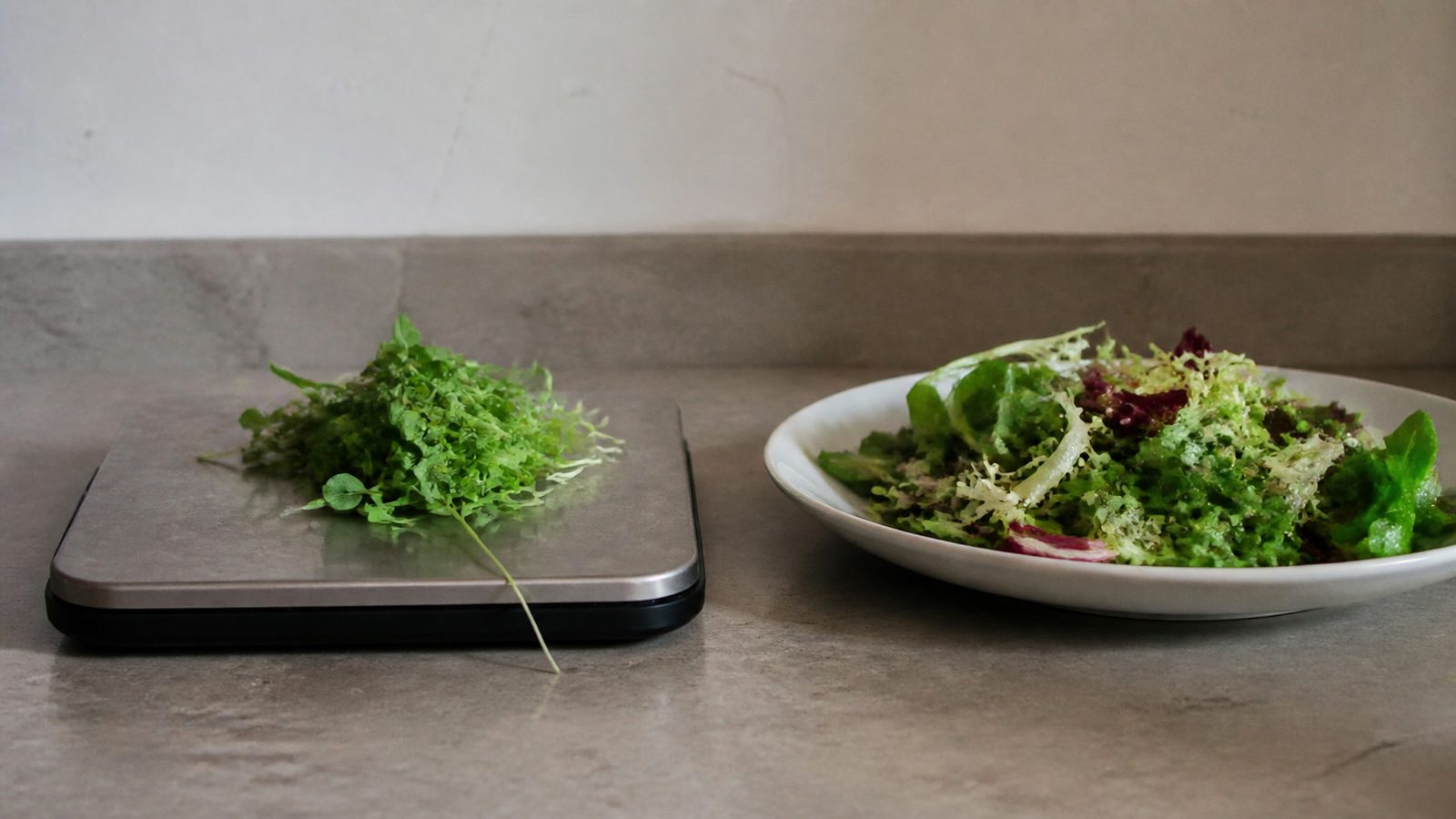 A kitchen scale on a worktop in flat daylight holding a small pile of fresh microgreens beside a plated salad, photographed level with the surface