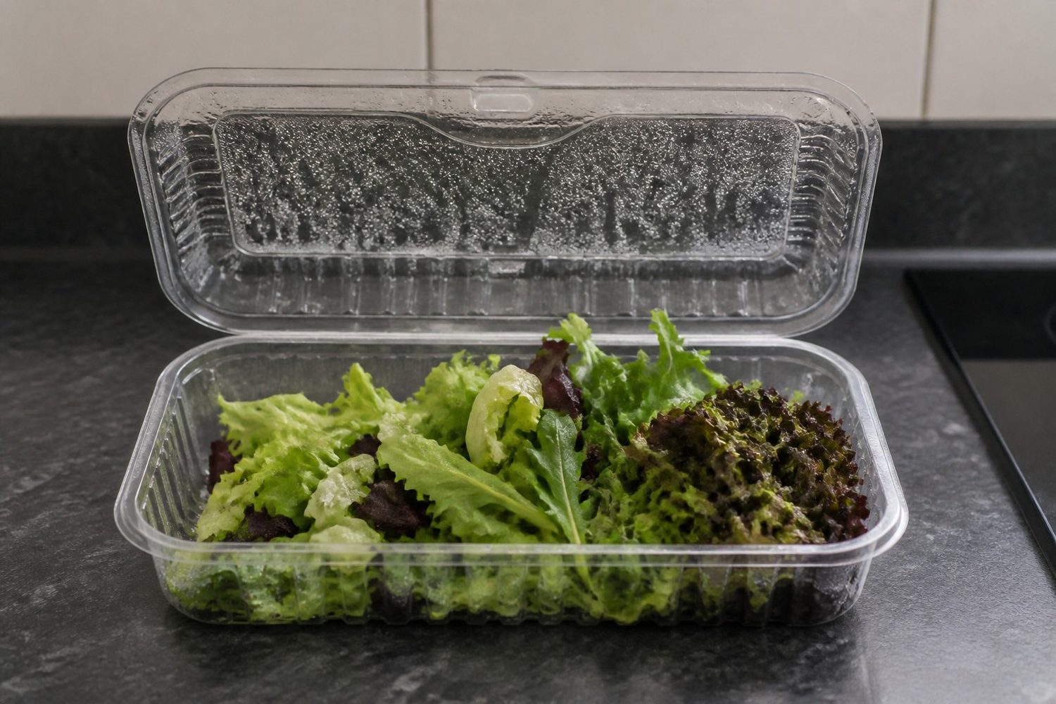 An opened plain clear clamshell of supermarket salad leaves on a kitchen counter, lid raised, condensation beaded across the inside of the lid, several leaves darkened and slumped wet against one wall while the rest stay green, photographed level with the counter in flat daylight with no packaging text or branding in frame