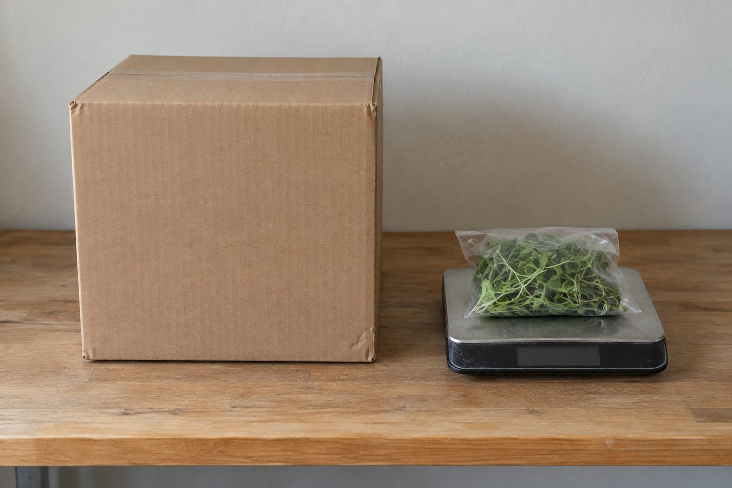 Large empty 12 inch cube cardboard box on a packing table beside a much smaller sealed bag of microgreens resting on a flat shipping scale with a dark display