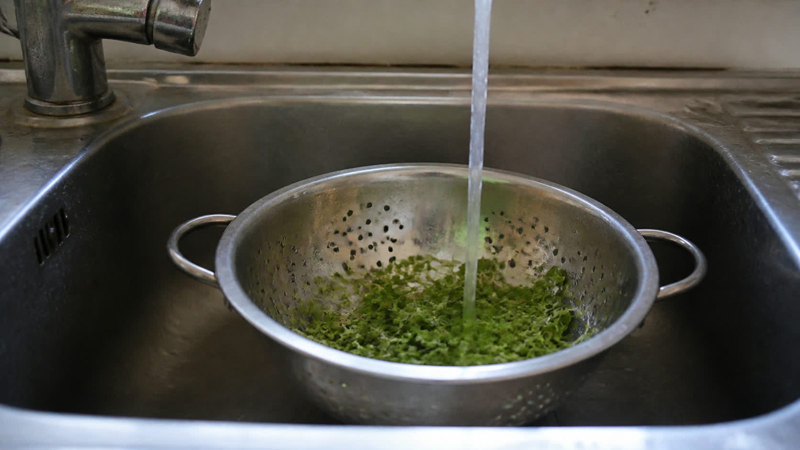 A small handful of cut microgreens in a stainless colander under a gentle stream of cold tap water, photographed level with the sink in flat daylight with the leaves not yet matted down