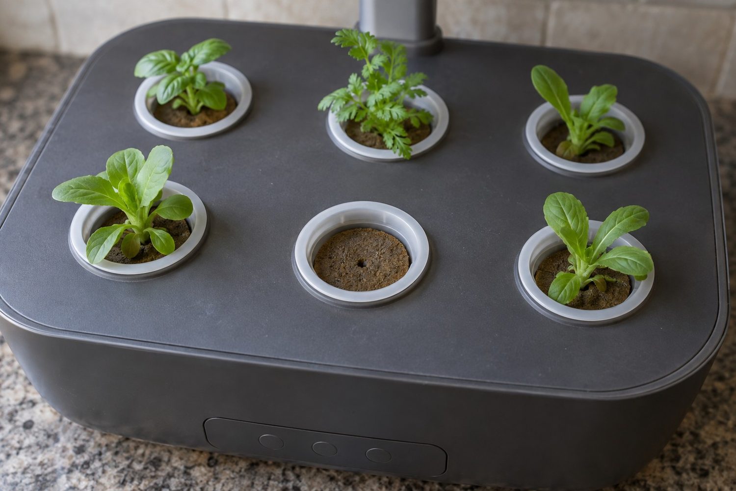 Hydroponic garden grow deck with green seedlings in five pods and one pod showing a clean bare sponge with no sprout