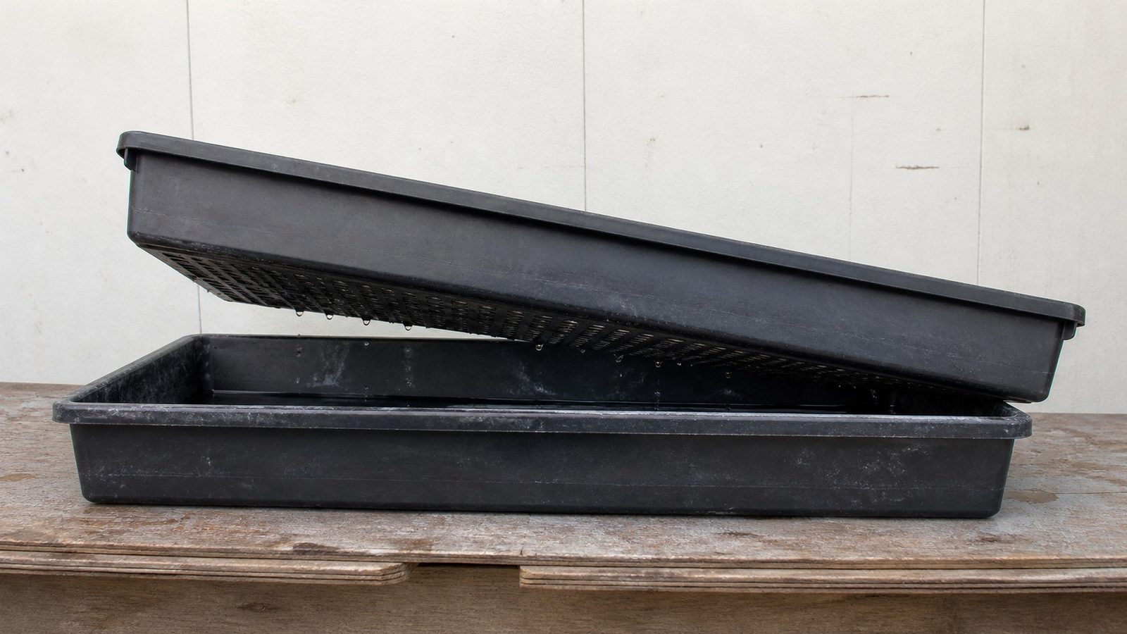 A perforated 1020 growing tray lifted at an angle out of a solid tray beneath it on a bench, the underside holes visible and the lower tray holding a shallow film of water, photographed side on in flat daylight