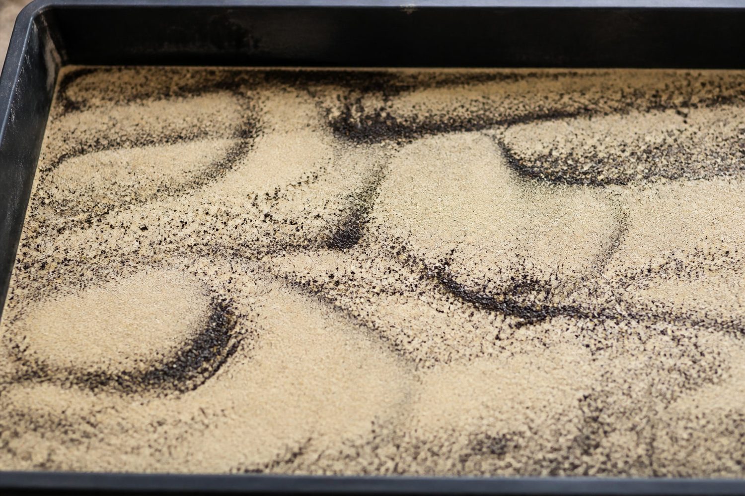 A close photograph of a purslane tray surface in the days after sowing and before emergence, showing the very fine dark seed displaced into visible rings and small piles by top watering, with bare patches of medium between them