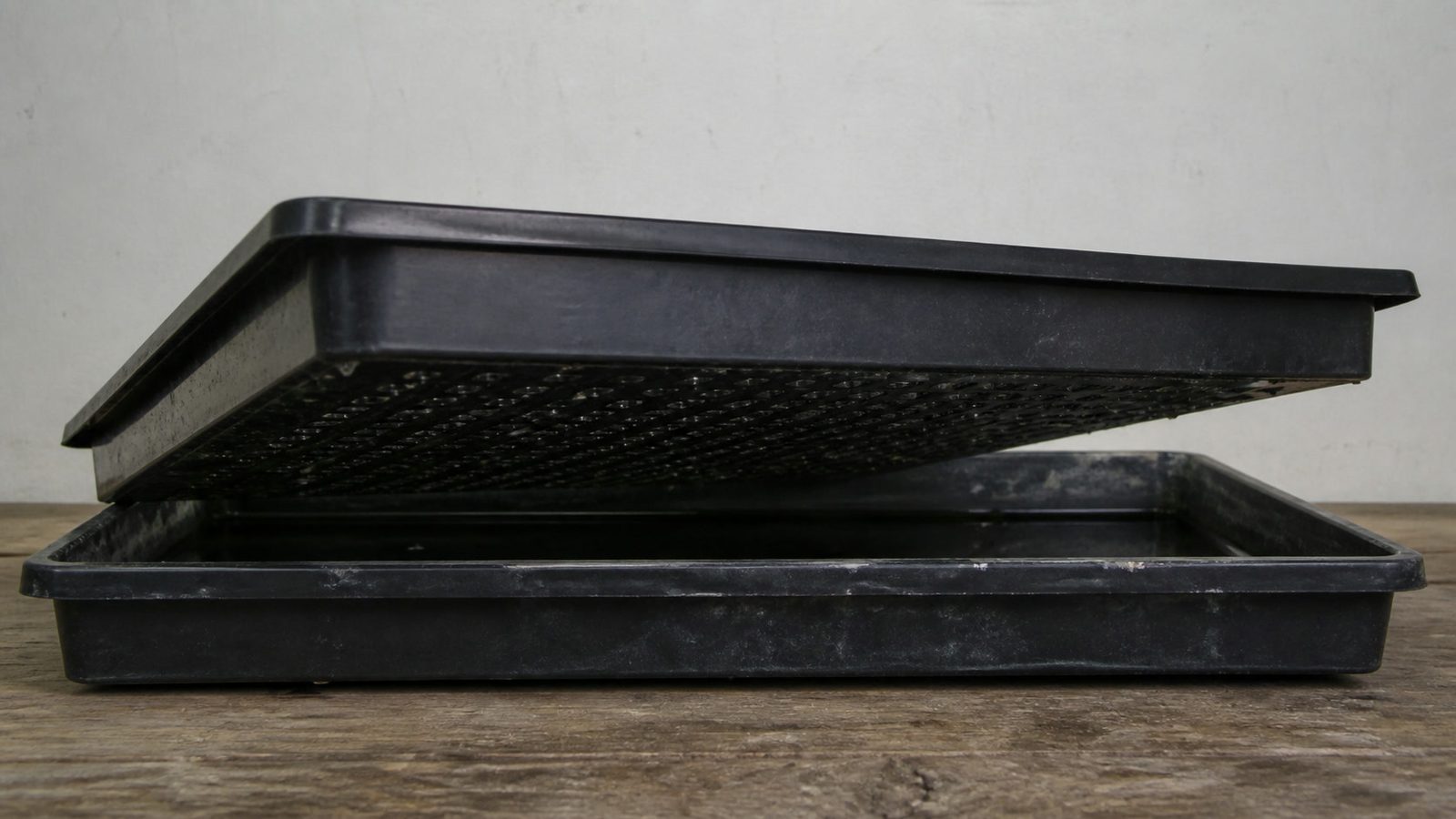 A perforated 1020 microgreen tray lifted at an angle above a solid lower reservoir tray holding a shallow layer of water, photographed side on at bench height in flat indoor light so the drainage holes and the water line are both visible