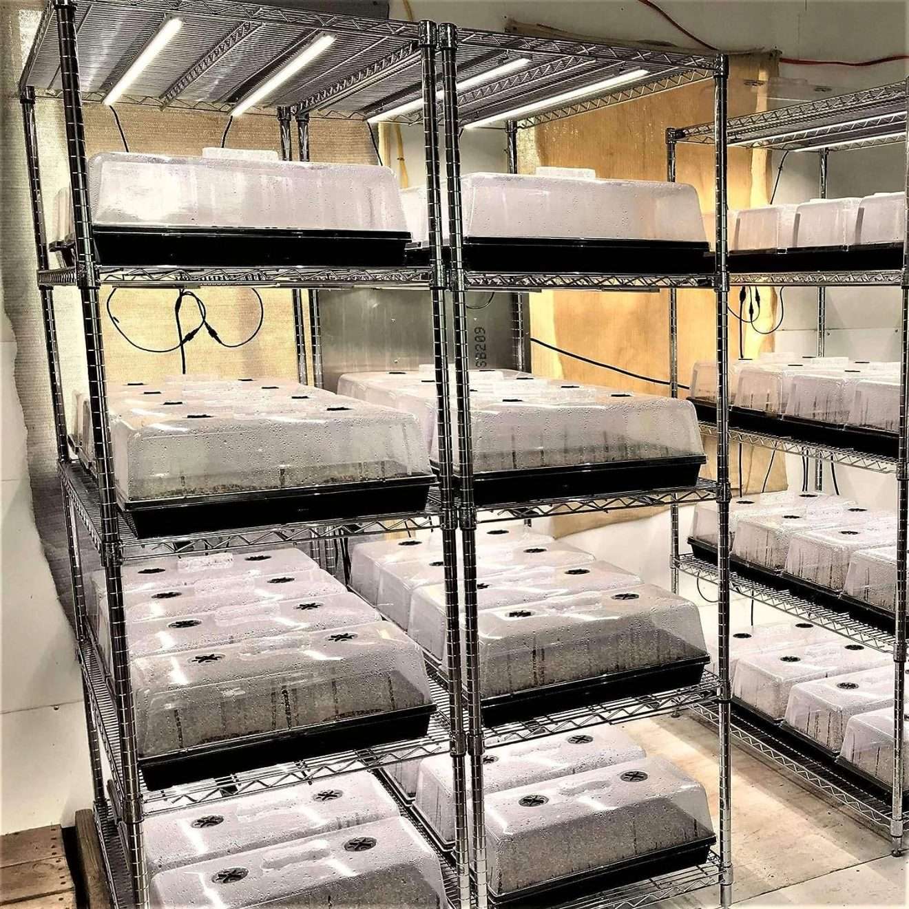 Top 6 Best Humidity Domes of 2023 - Microgreens Guru