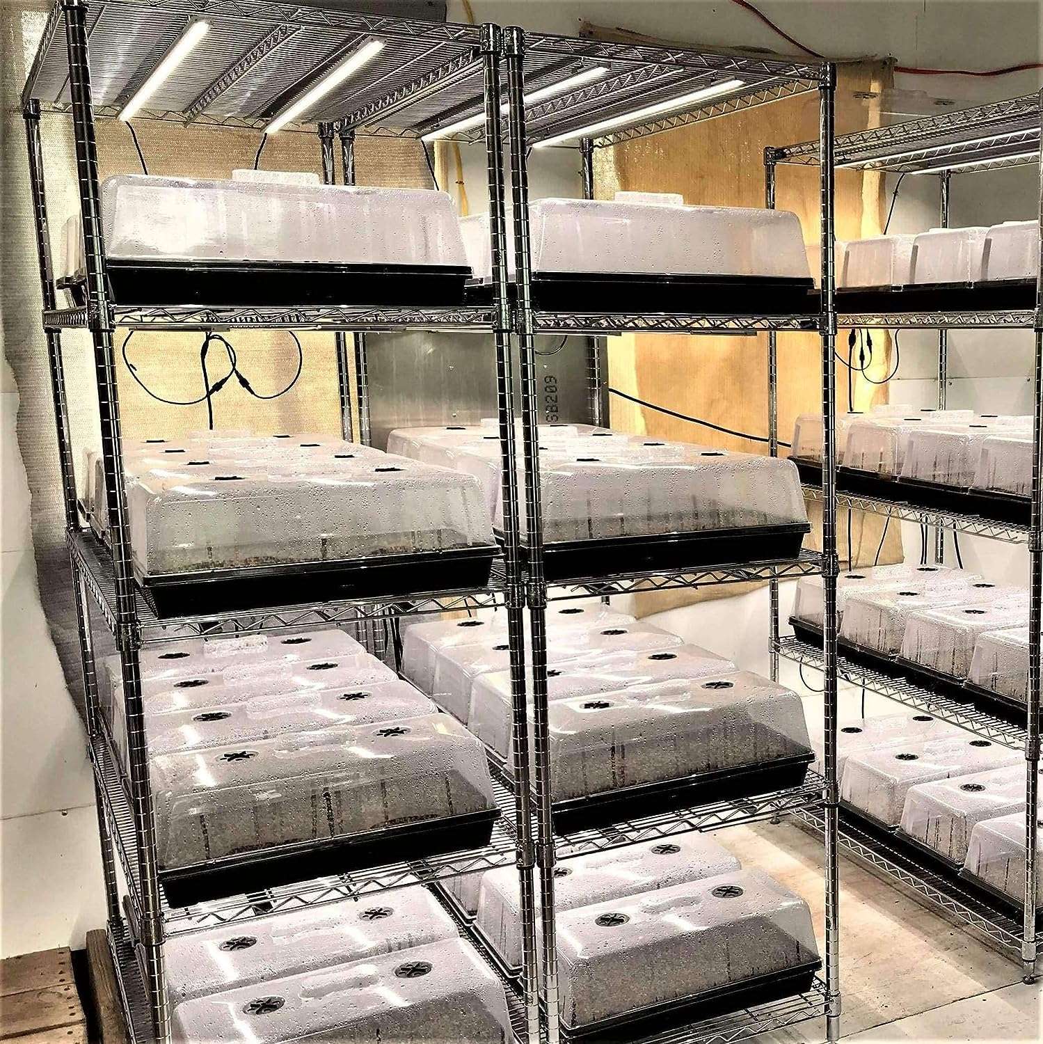 Top 6 Best Humidity Domes of 2023 - Microgreens Guru